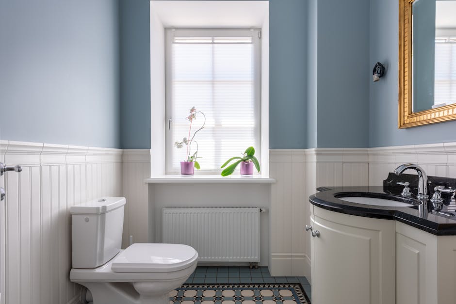 Toilet Repair & Installation in Avondale, AZ - The Avondale Plumber